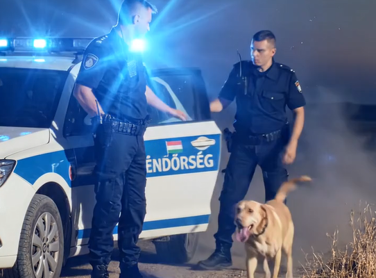 Ez a kutya megállás nélkül az autónk után szaladt… de mit is akart nekünk mutatni, amikor…